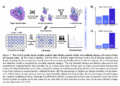 Chai Discovery Team Releases Chai-2: AI Model Achieves 16% Hit Rate in De Novo Antibody Design